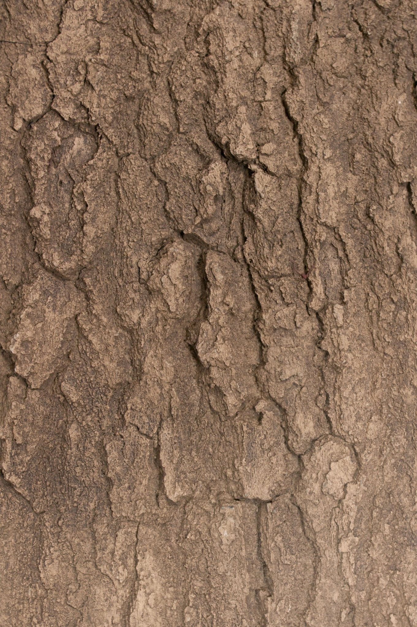 Flexbark- Oak, Elm FB3514 -FB3514- Fauxstonesheets