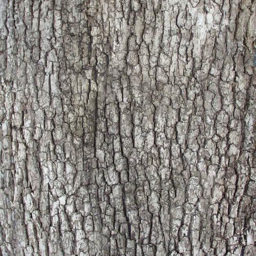 Flexbark - Pines, Oaks, Box Elder, Ash FB3522 -FB3522- Fauxstonesheets