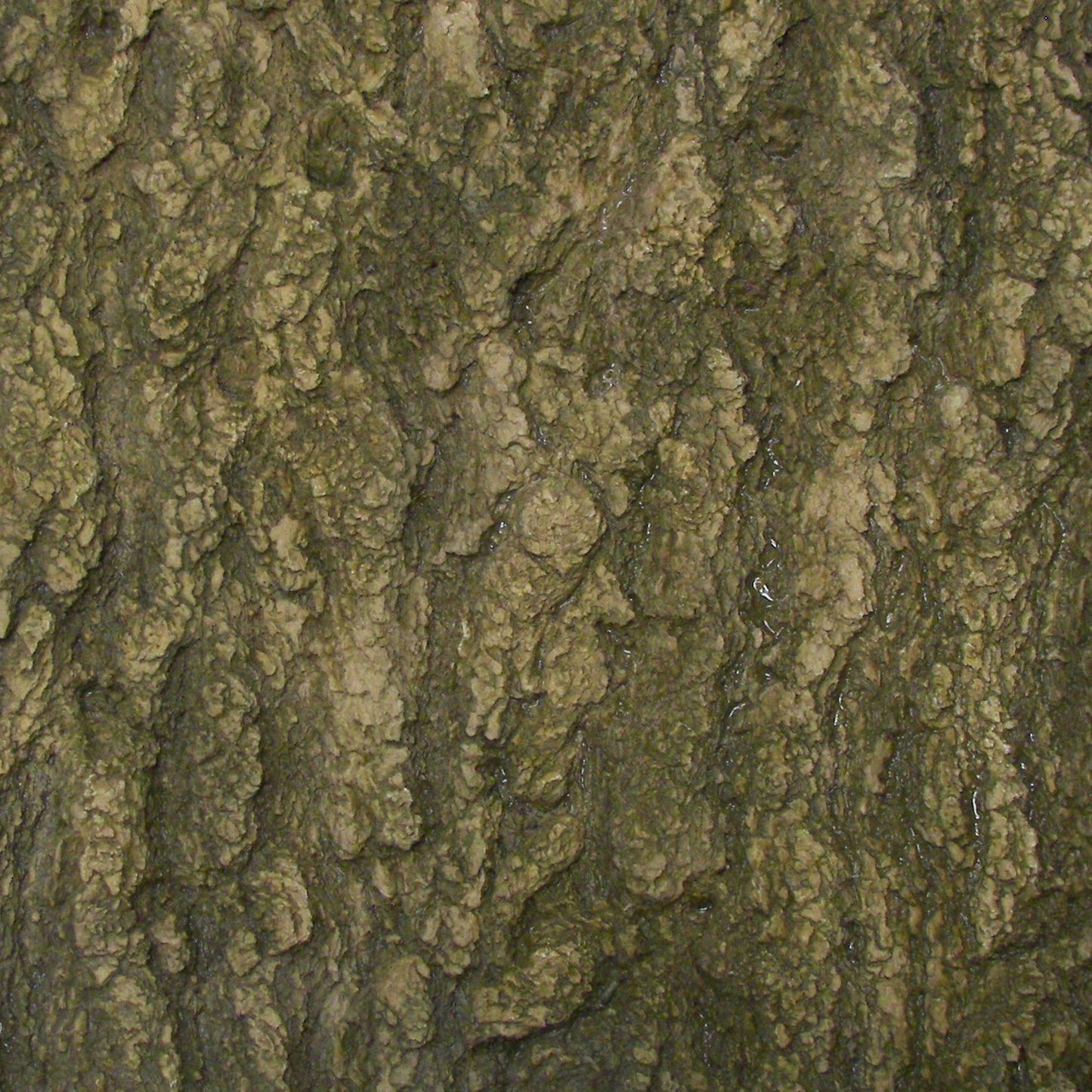 Flexbark- Ponderosa Pine FB3505 -FB3505- Fauxstonesheets