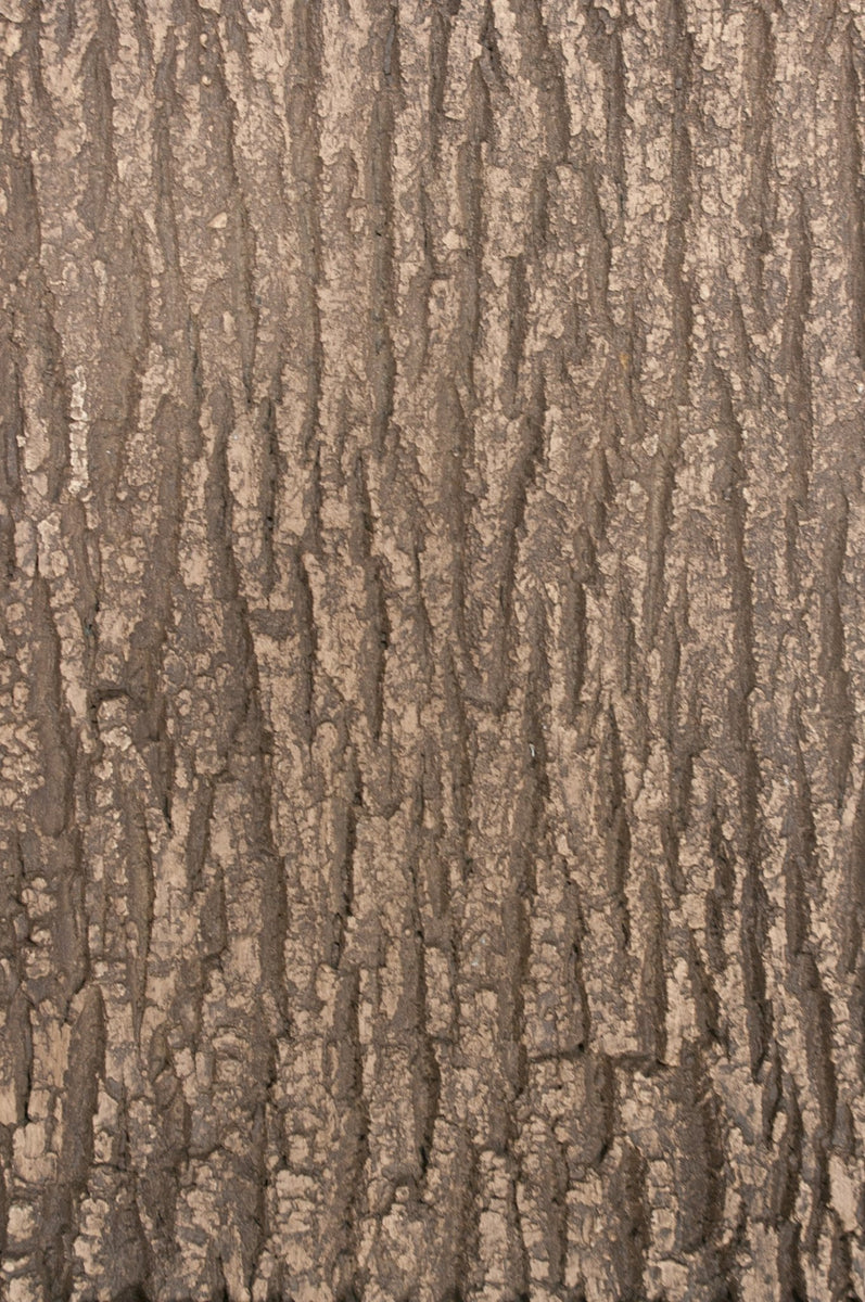 Flexbark Poplars, Oaks FB3528 Flexible Faux Bark Sheets Fauxstonesheets