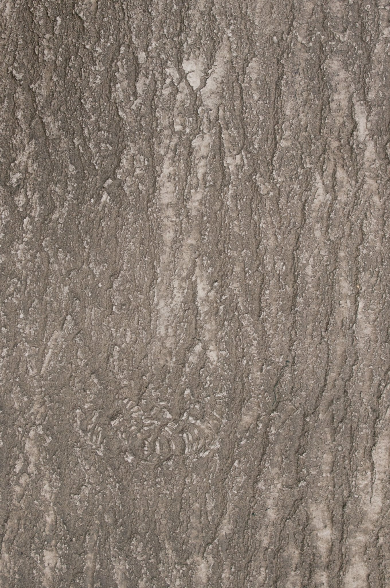 Flexbark- Maples, Oak FB3515 -FB3515- Fauxstonesheets