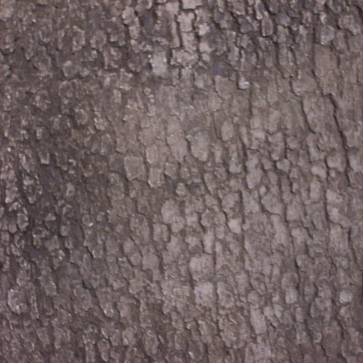 Bark Samples Faux Stone, Brick & Wood Panel Samples | Rebate With Full Purchase ...