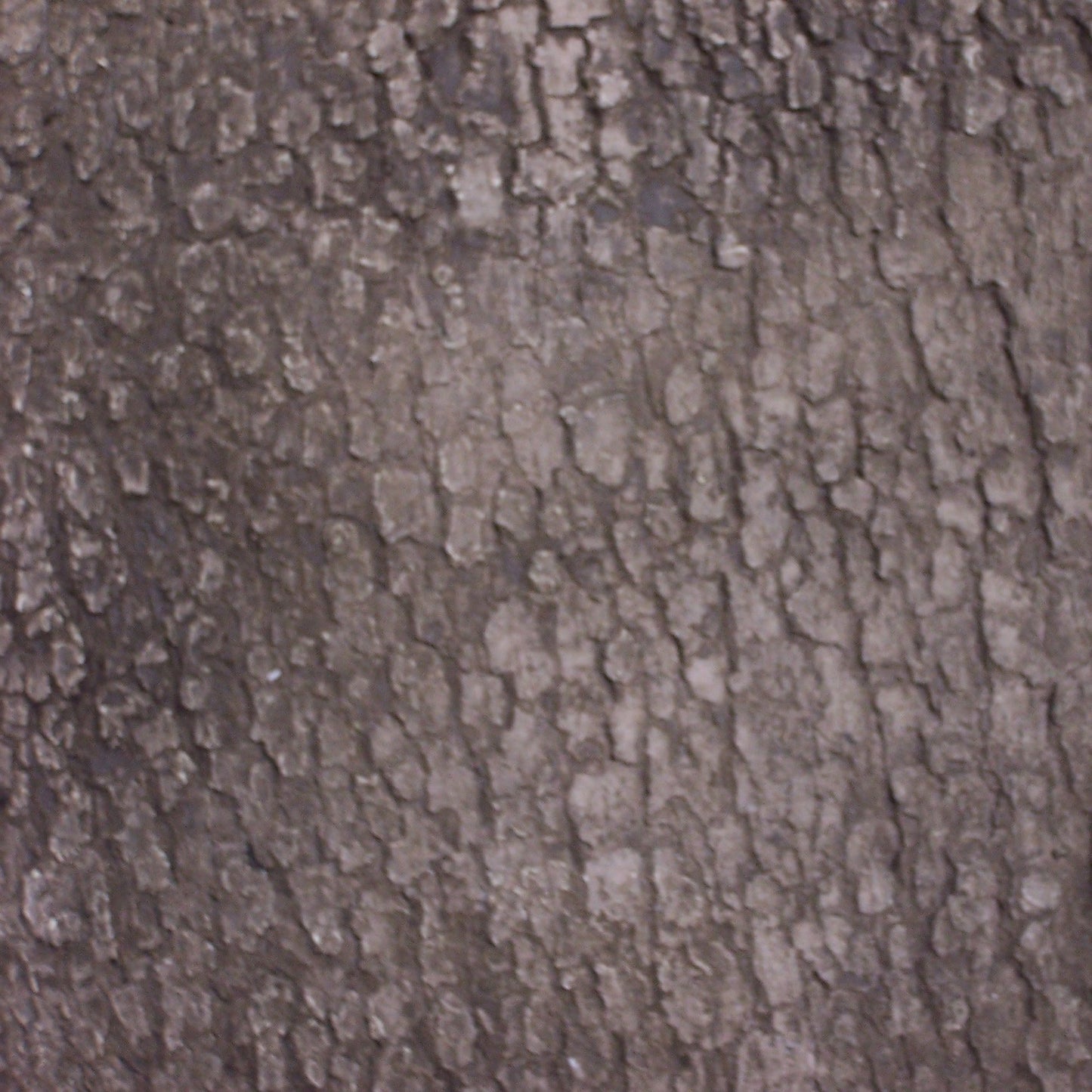 Flexbark- Oak Bark Sample -SMPOAK2- Fauxstonesheets