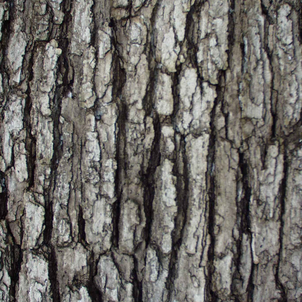 Flexbark Oak, Elm FB3514 | Flexible Faux Bark Sheets – Fauxstonesheets