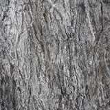 Flexbark- Pin Oak, Maple, Oaks FB3513 -FB3513- Fauxstonesheets