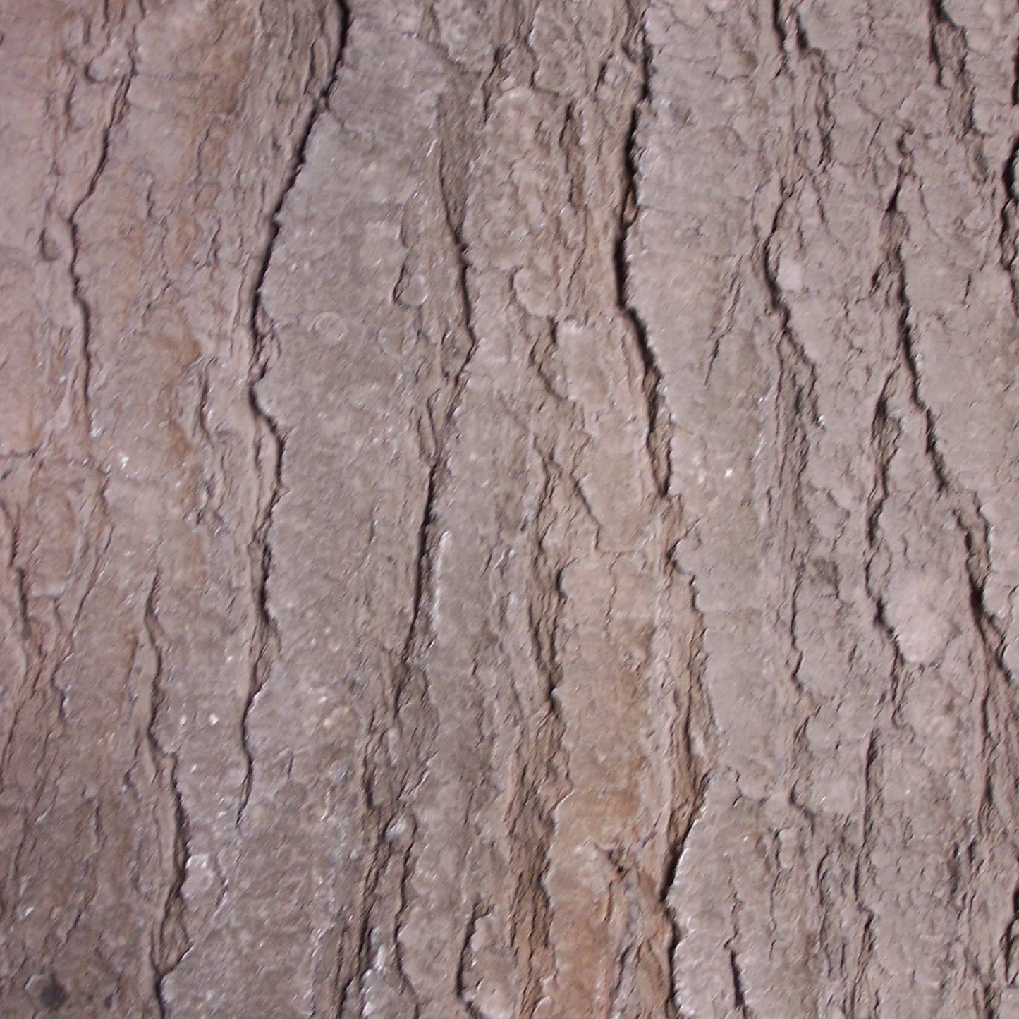 Flexbark - Pines, Cedars FB3520 -FB3520- Fauxstonesheets