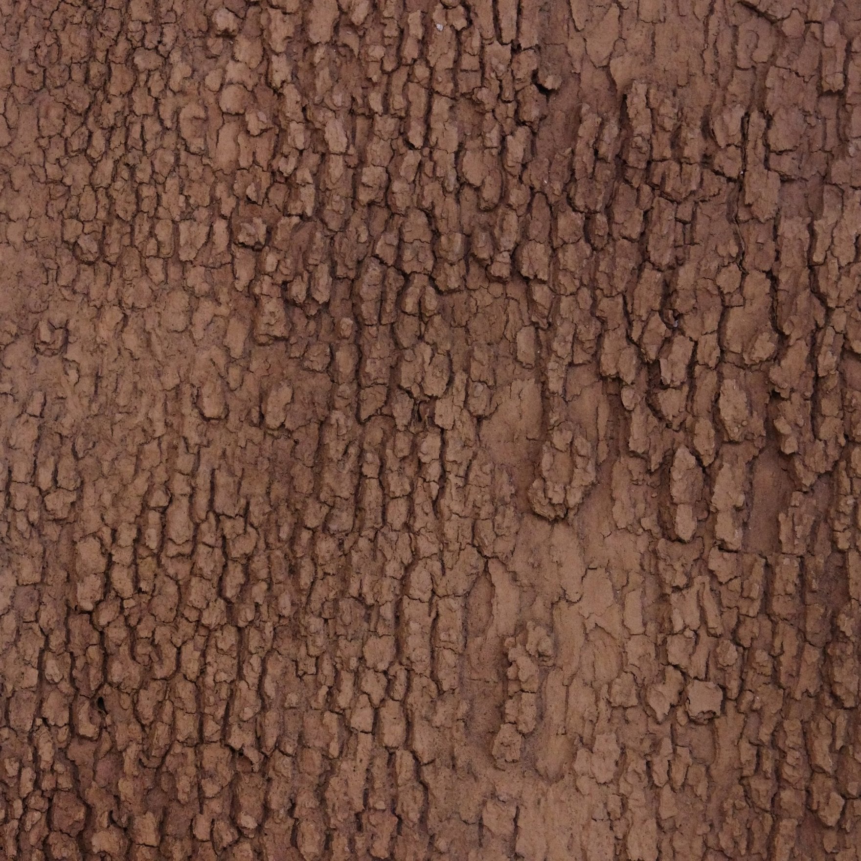 Warm brown bark with rugged plates. Box elder or oak look for FlexBark sheets, rot resistant.