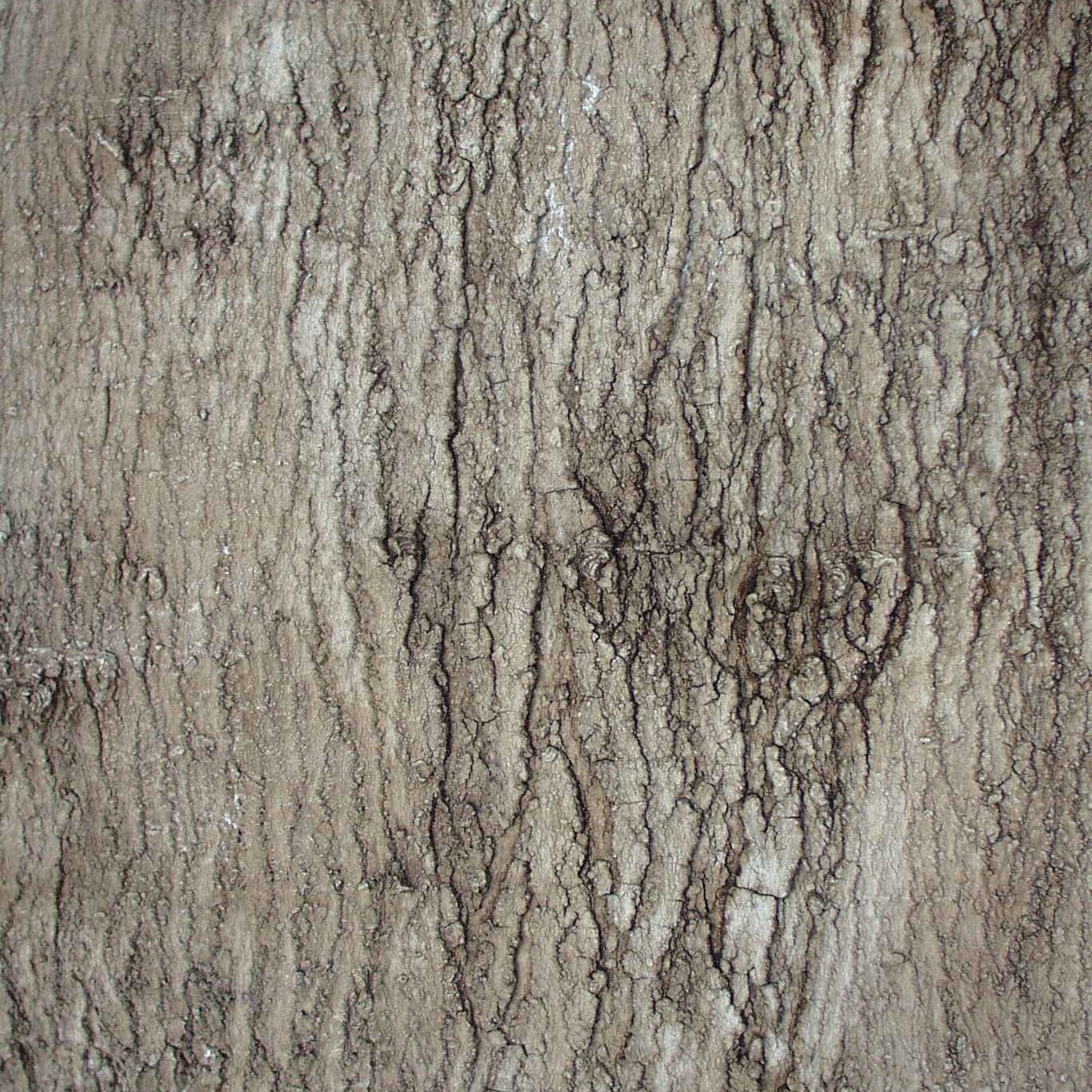 Flexbark-Sugar Maple, Box Elder FB3517 -FB3517- Fauxstonesheets