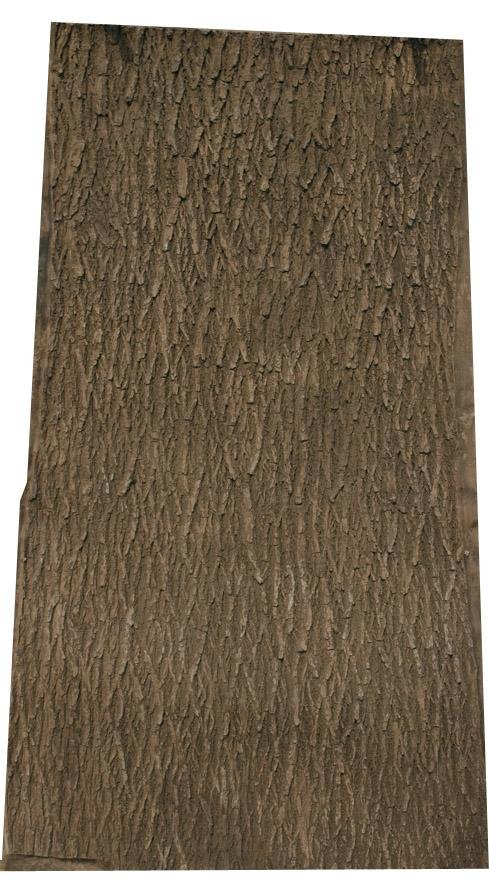 Flexbark - Walnut, Willow FB3519 -FB3519- Fauxstonesheets