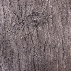 Flexible Faux Maple Bark Sample – Fauxstonesheets