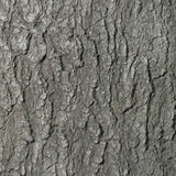 Sample Ponderosa Pine -- Fauxstonesheets